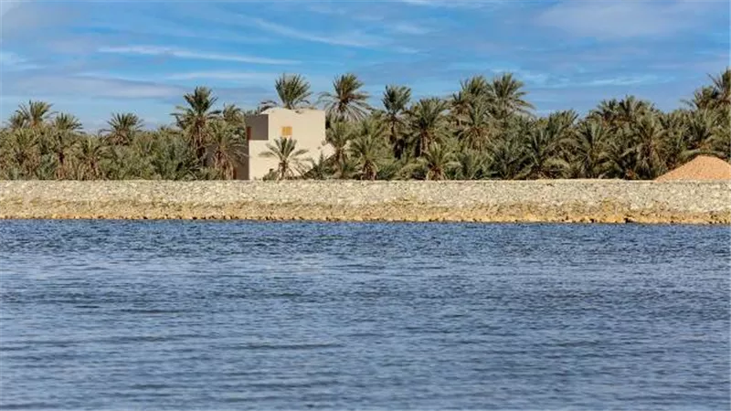 وزير الري يتابع أعمال التطوير الجارية بواحة سيوة