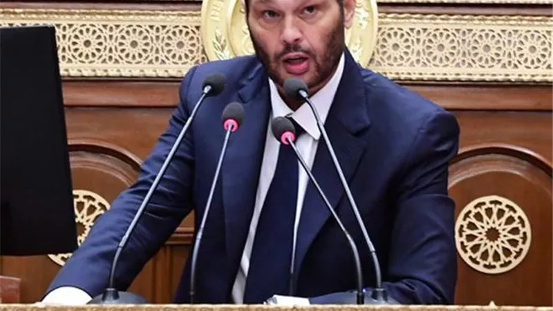 محمد حلاوة: الرئيس استطاع وأد محاولات إشعال فتنة بين الخليج ومصر