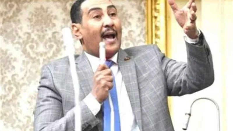 الجبلاوي يتقدم للبرلمان بتعديل قانون الهيئة العامة للثروة المعدنية