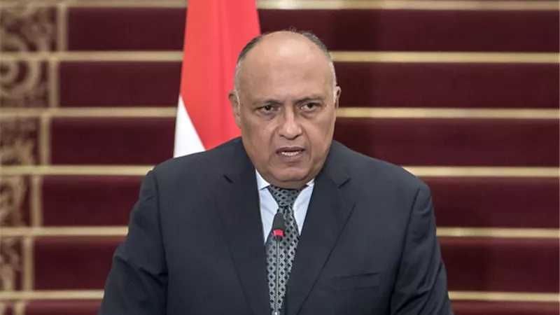 وزير الخارجية يؤكد ضرورة وقف التدخلات الخارجية في الشئون الليبية