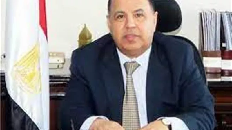 وزير المالية: صرفنا ٤٨ مليار جنيه «مساندة تصديرية» لـ ٢٥٠٠ شركة