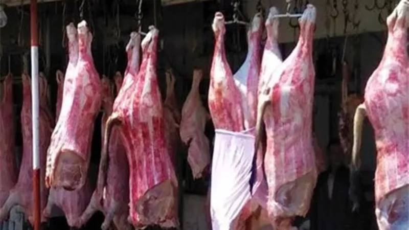 توفير لحوم بلدية وخضروات بسعر الجملة فى الوادى الجديد