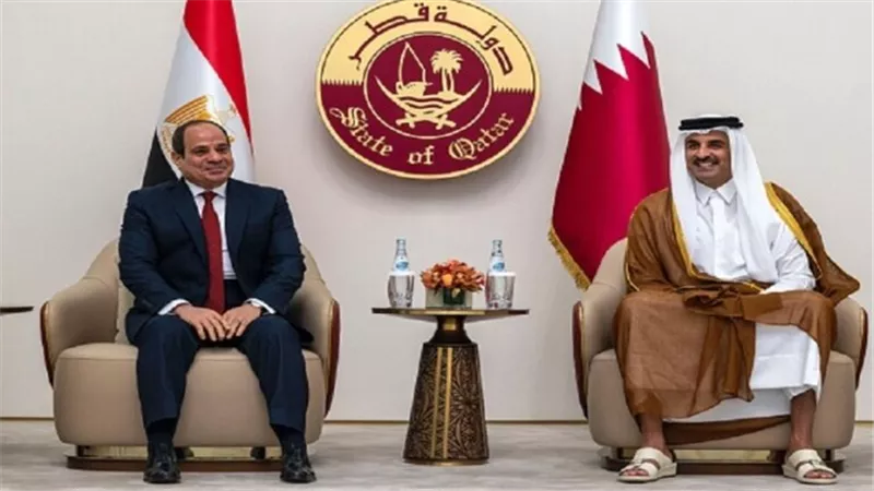 مسؤول قطري: مصر شهدت تطورا كبيرا في عهد الرئيس السيسي