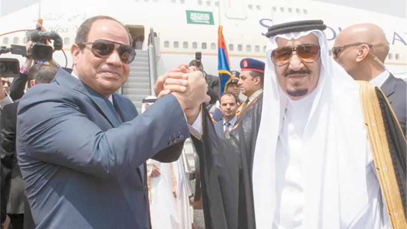 أعضاء البرلمان.. السيسي قاد ثورة تصحيح للعلاقات المصرية العربية
