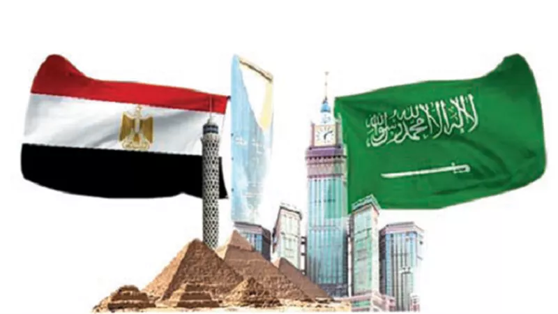 قوة العرب في تضامنهم ووحدتهم