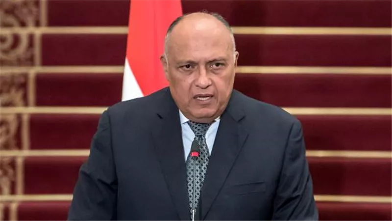 وزير الخارجية: مصر حريصة على تفعيل منطقة التجارة الحرة الإفريقية