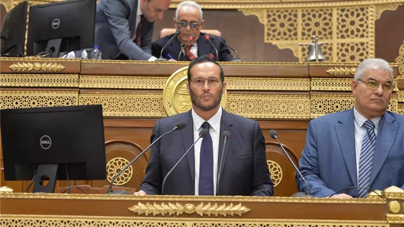 حلاوة: إزالة العقبات أمام المصانع القائمة والجديدة يدعم توافر المنتج المحلى بالأسواق