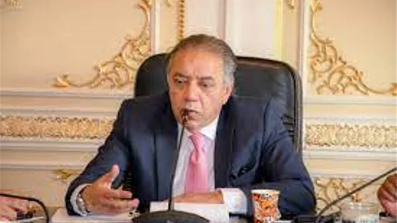 إفريقية البرلمان: معظم المنتجات المصرية لديها سوق في القارة