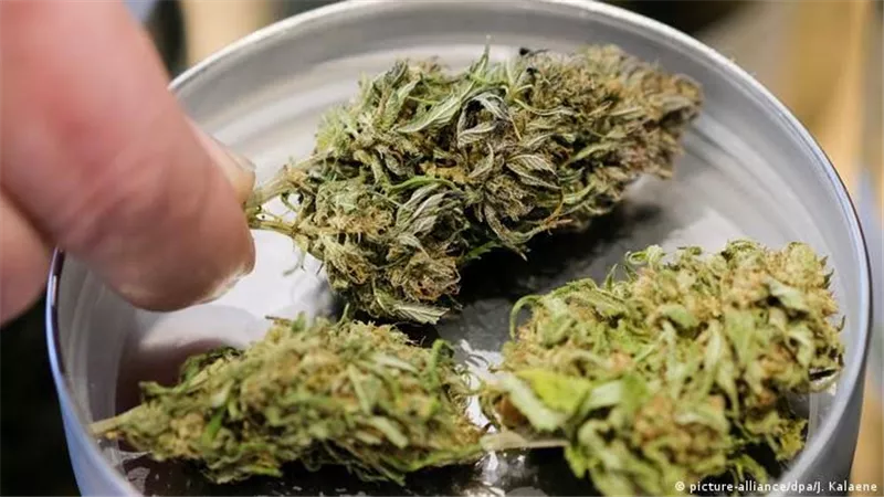ضبط تاجرى مخدرات بقنا وبحوزتهما ١٧ كيس حشيش و ٢ كيلو أفيون