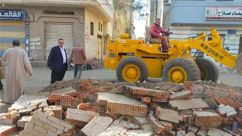 بالسنبلاوين والمنزله وطلخا بالدقهلية