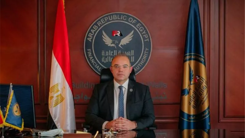 الرقابة المالية تحظر التوكيل أو التفويض في مزاولة مهن الأنشطة غير المصرفية