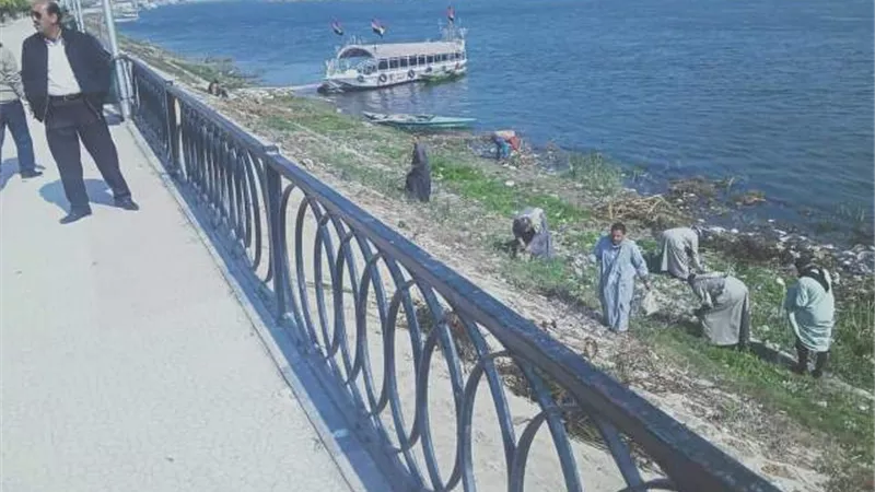 حملة مكثفة للنظافة على الشاطئ الغربي لنهر النيل بالمنيا