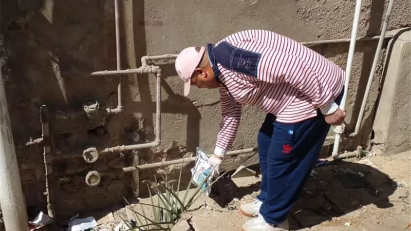 صحة السويس تواصل حملاتها لمكافحة القوارض والحشرات