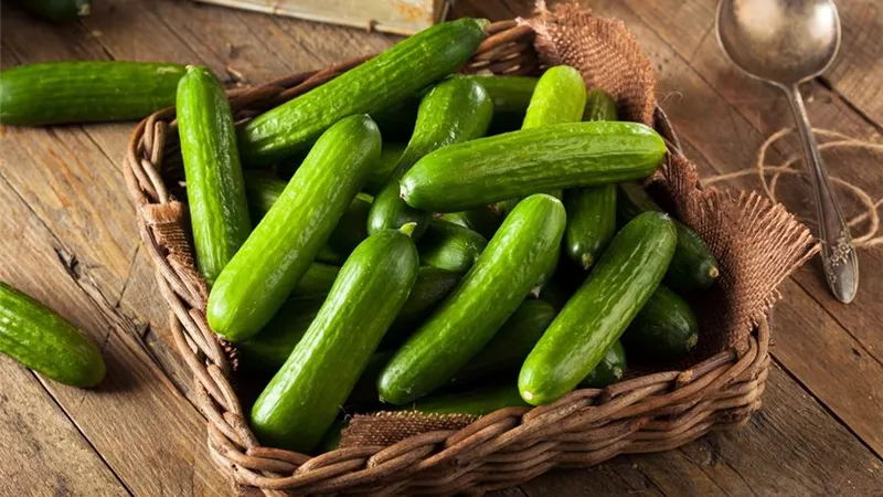 فوائد تناول الخيار العظيمة