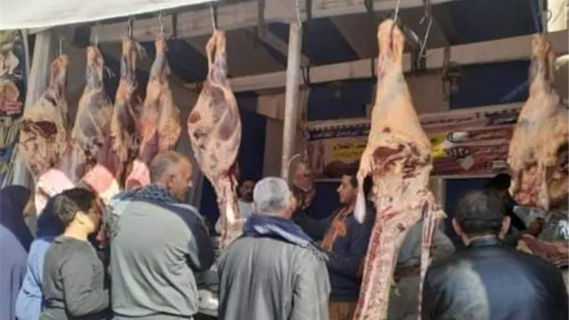 محافظ الشرقية يُكلف رؤساء المدن بالمرور على معارض أهلا رمضان