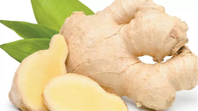 العسل والزنجبيل والزعتر لعلاج الكحة
