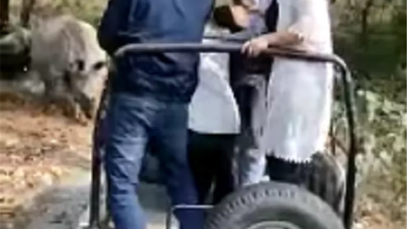 وحيد قرن يهاجم سياح وينطح سيارتهم .. فيديو