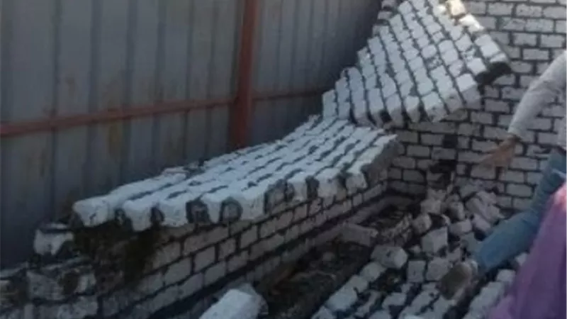 حملات مكثفة لازالة التعديات على الاراضى الزراعية بالشرقية
