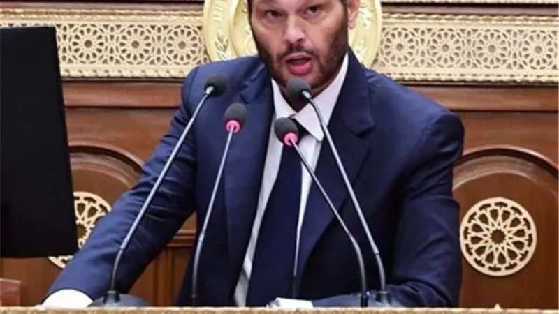 النائب محمد حلاوة: رسائل الرئيس حول سيناء عنوان للمصداقية