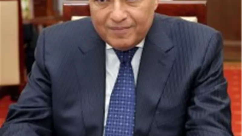 وزير الخارجية يصل إلى دمشق