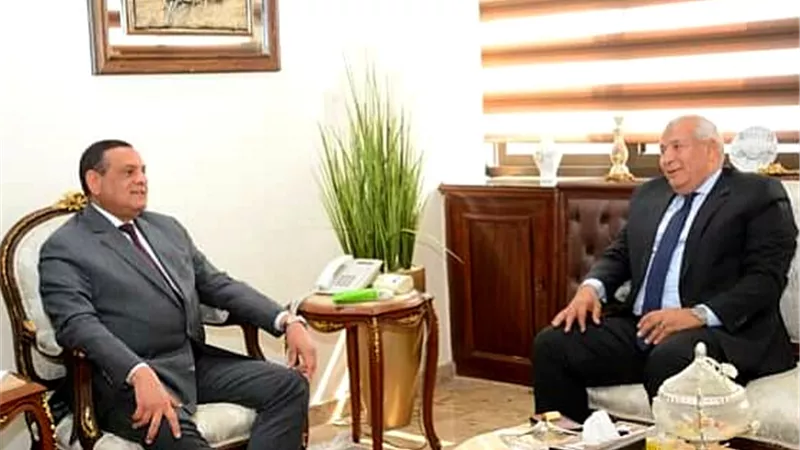 وزير التنمية المحلية ومحافظ الوادي الجديد يبحثان موقف خطة مشروعات