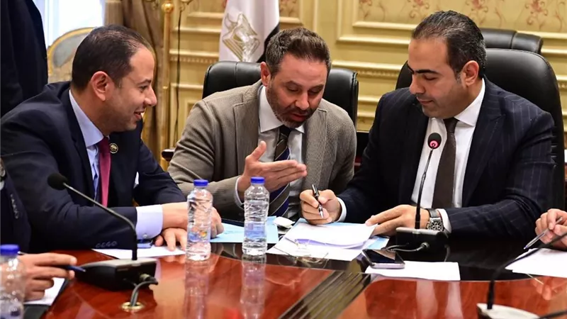 شباب النواب توصي بتفعيل بروتكول استغلال ملاعب المدارس بالجيزة