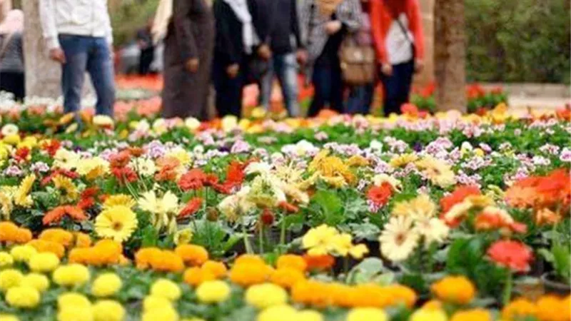 «القومي للبحوث الفلكية»: 19 يوما وينتهى الشتاء.. و20 مارس بداية الربيع