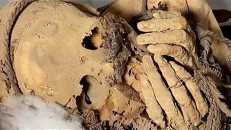 العثورعلى مومياء من حقبة الغزو الإسباني داخل حقيبة عامل