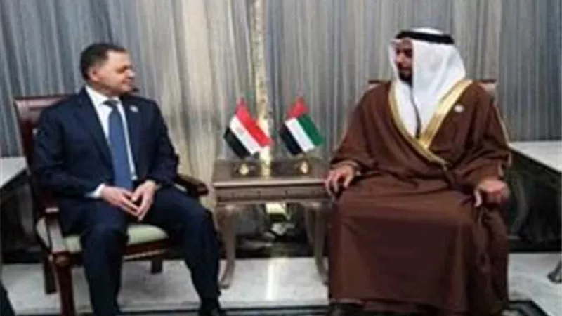 وزير الداخلية يعقد عددا من اللقاءات مع نظرائه بالدول الشقيقة