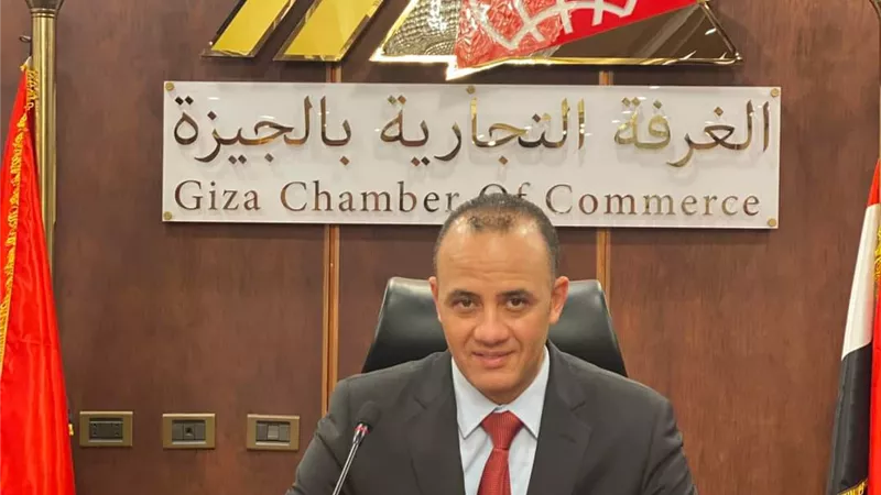 شعبة الدواجن تقترح 3 حلول لضبط أسعار الفراخ.. أبرزها حظر التداول