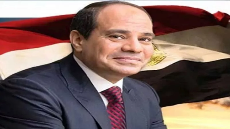 الرئيس السيسي يتفقد 
