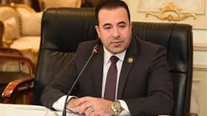 أحمد بدوي: قرارات الرئيس بزيادة المعاشات والأجور أثلجت صدور المصريين