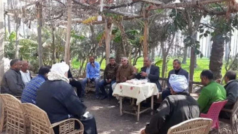 تنفيذ مدرسة حقلية إرشادية لمزارعى النخيل لزيادة الإنتاج بالشرقية