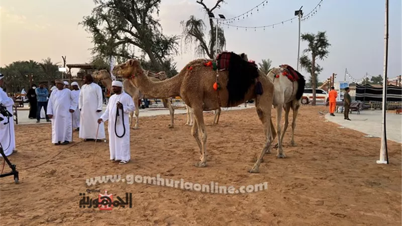 المسرح العربي والالعاب الشعبية والحرف اليدوية في أيام الشارقة
