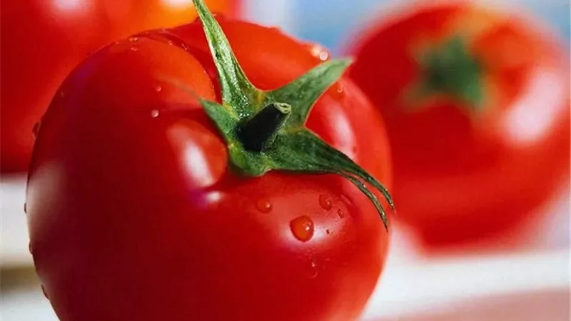 يوجد فى الطماطم والبطيخ .. ماهو الليكوبين المعزز للصحة الإنجابية