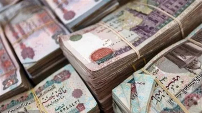 هل تطرح البنوك شهادات بفائدة 25 % مرة أخرى ؟ .. فيديو