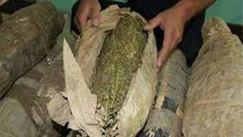 القبض على عاطل بتهمة ترويج كمية من البانجو فى أطفيح