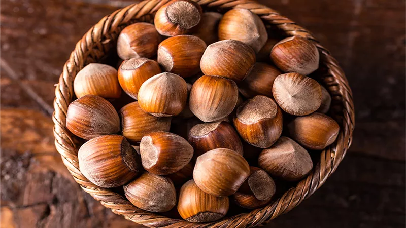 فوائد البندق الامحدودة للجسم