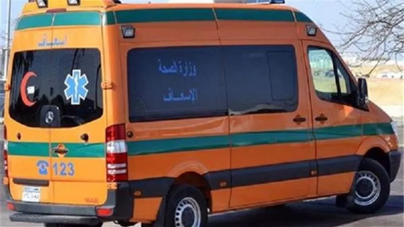 مصرع طالب بصاعق كهربائى خلال يومه الدراسى بأسوان