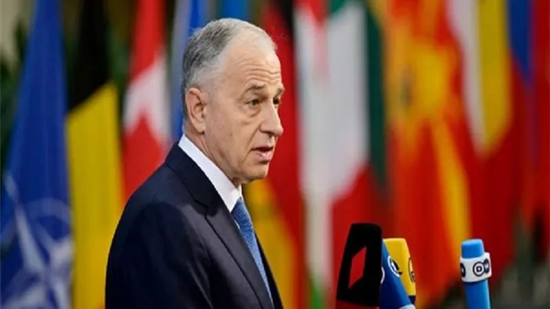 الناتو يؤكد أهمية التعاون الوثيق مع شركاء مثل أيرلندا
