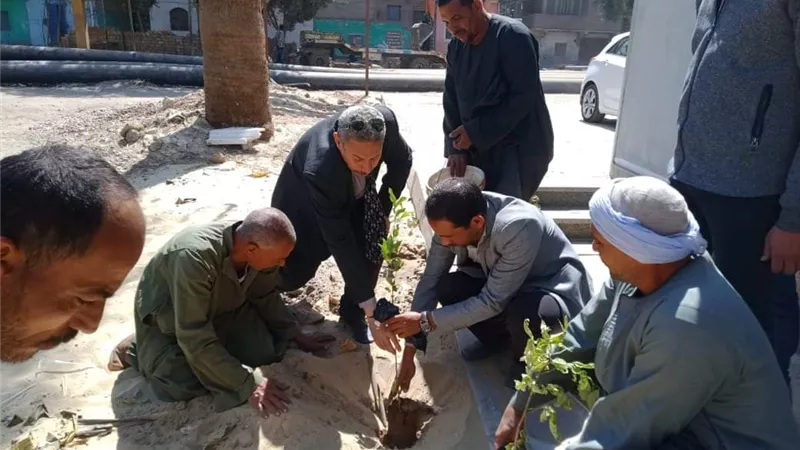 رفع كفاءة الطرق وتركيب أعمدة إنارة وزراعة أشجار بمركز أبو قرقاص