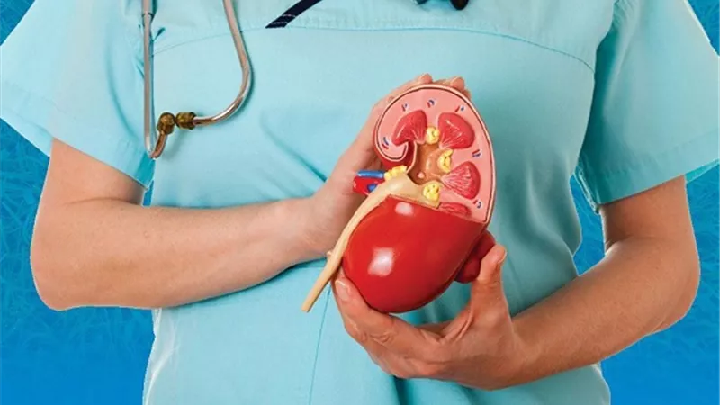 طبيب يحذر من أمراض الكلى: الأعراض لا تظهر حتى المراحل المتأخرة