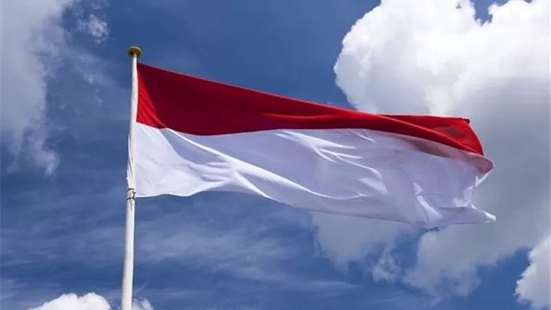 ارتفاع حصيلة ضحايا الانهيار الأرضى بـ إندونيسيا إلى 44 قتيلا