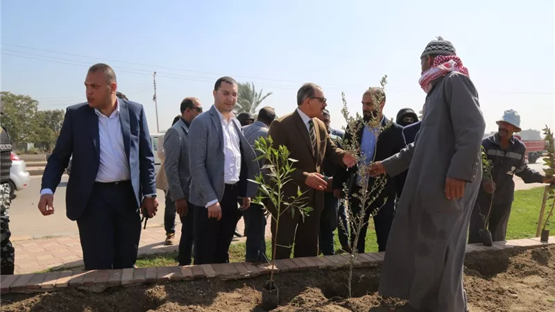 محافظ كفر الشيخ : زراعة 225 ألف شجرة مثمرة