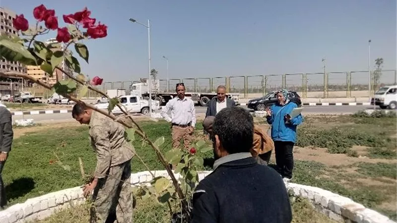 محافظ أسيوط: حملات تشجير ونظافة وتوعية بمنطقة الوليدية وقناطر