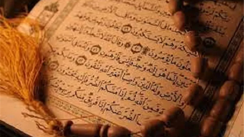 ذَلِكَ يُخَوِّفُ اللَّهُ بِهِ عِبَادَهُ_ هذا هو الغرض من التخويف