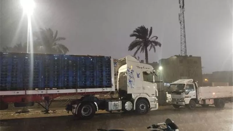 رعد وبرق وأمطار غزيرة بالقليوبية.. والمحافظ يرفع حالة الطوارئ