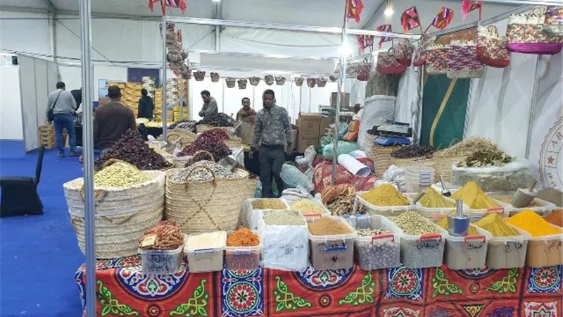 افتتاح معرض