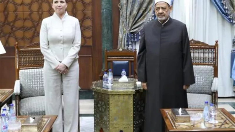 الطيب:حرية التعبير تنتهي عند المساس بمقدسات الآخرين ورموزهم الدين