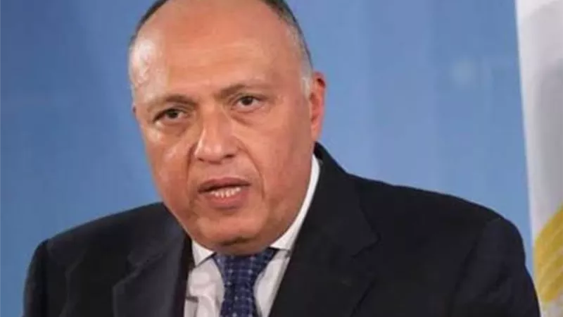 سامح شكري : سوريا حاضرة في الضمير المصري والعلاقات مع تركيا بدأت بلقاء القمة